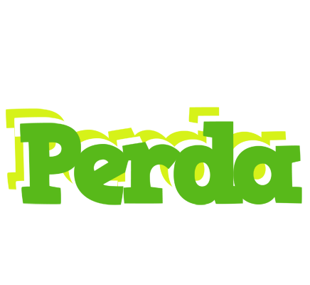 Perda picnic logo