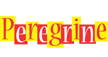 Peregrine errors logo