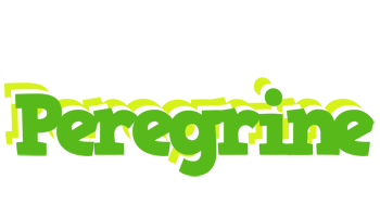 Peregrine picnic logo