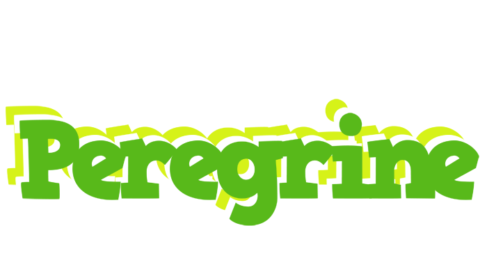 Peregrine picnic logo