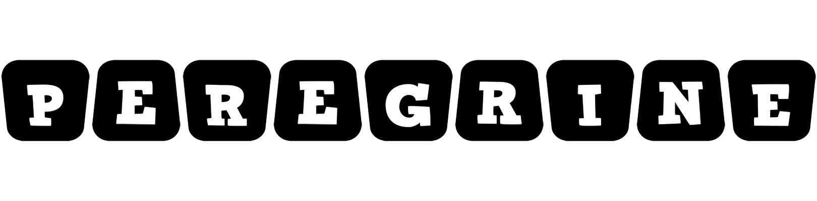 Peregrine racing logo
