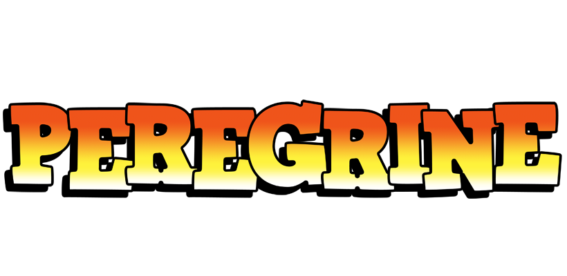 Peregrine sunset logo