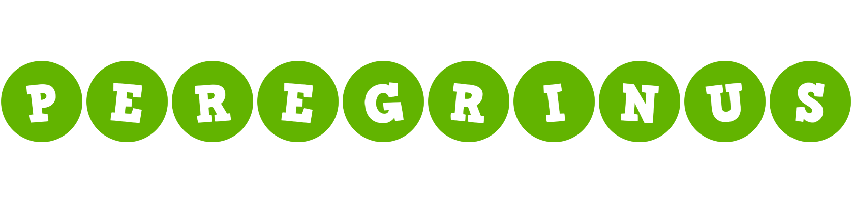Peregrinus games logo