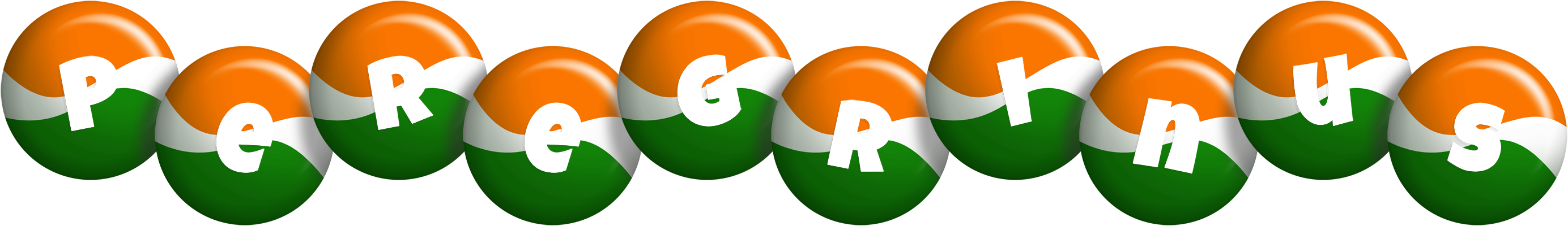 Peregrinus india logo
