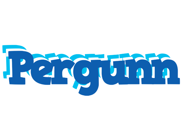 Pergunn business logo