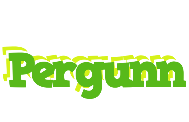 Pergunn picnic logo