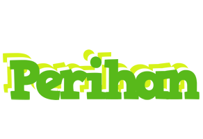 Perihan picnic logo