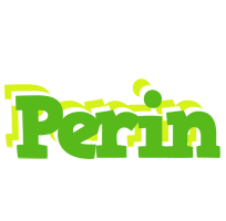 Perin picnic logo