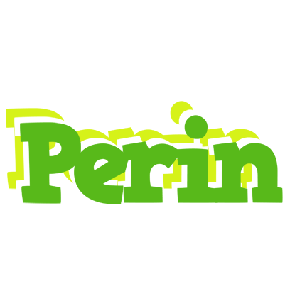 Perin picnic logo