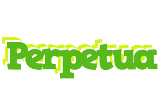 Perpetua picnic logo