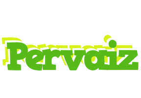 Pervaiz picnic logo