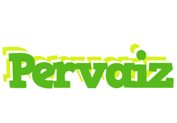 Pervaiz picnic logo