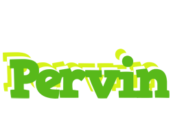 Pervin picnic logo