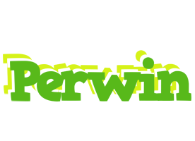 Perwin picnic logo