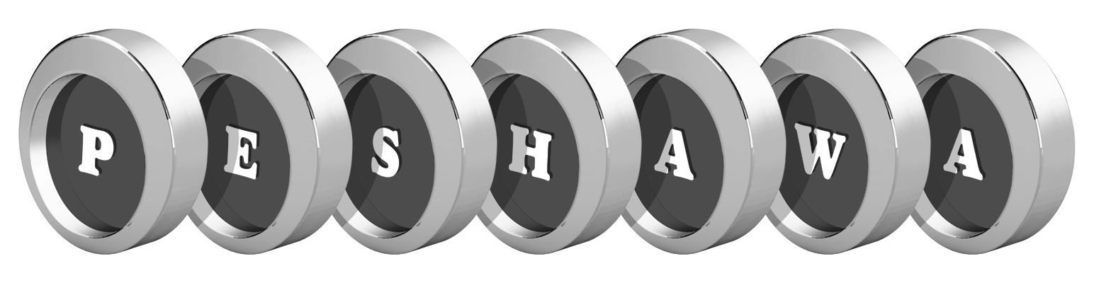Peshawa coins logo