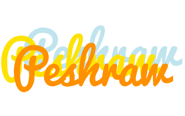 Peshraw energy logo