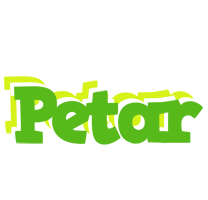 Petar picnic logo
