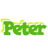 Peter picnic logo