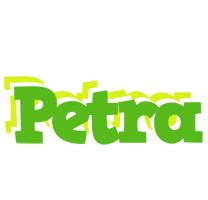 Petra picnic logo