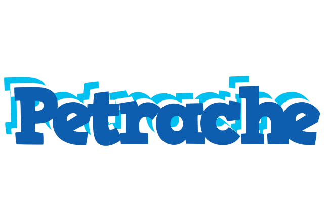 Petrache business logo