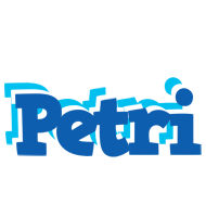 Petri business logo
