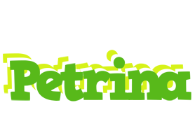 Petrina picnic logo