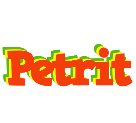 Petrit bbq logo
