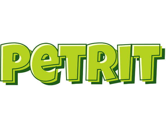 Petrit summer logo