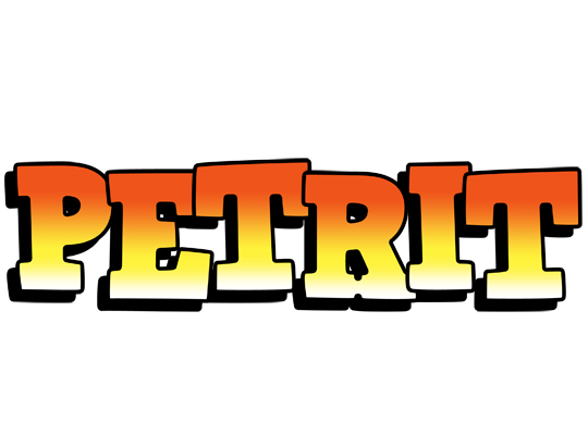Petrit sunset logo