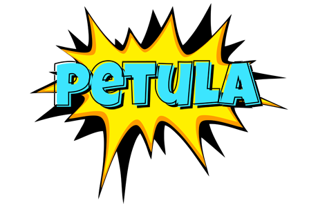 Petula indycar logo