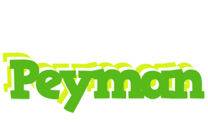 Peyman picnic logo
