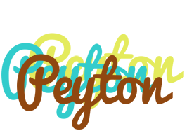 Peyton cupcake logo