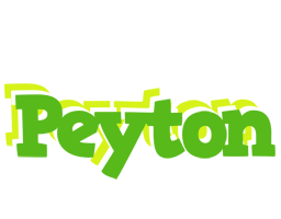 Peyton picnic logo