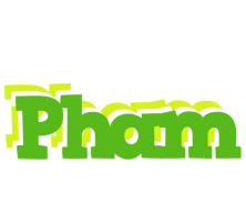 Pham picnic logo