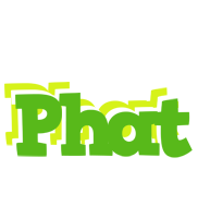 Phat picnic logo