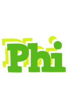 Phi picnic logo