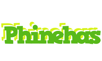 Phinehas picnic logo