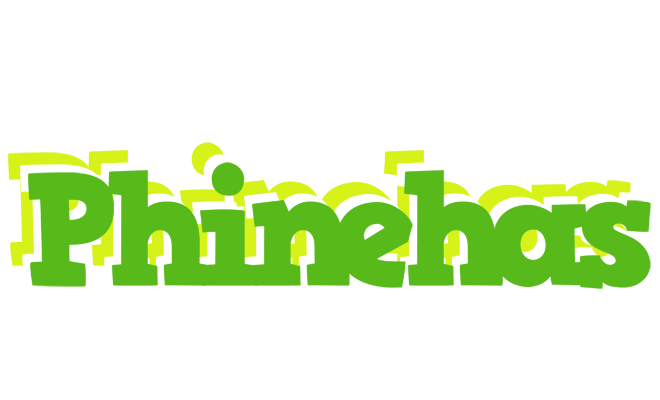 Phinehas picnic logo