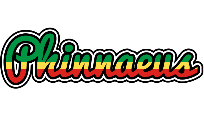 Phinnaeus african logo