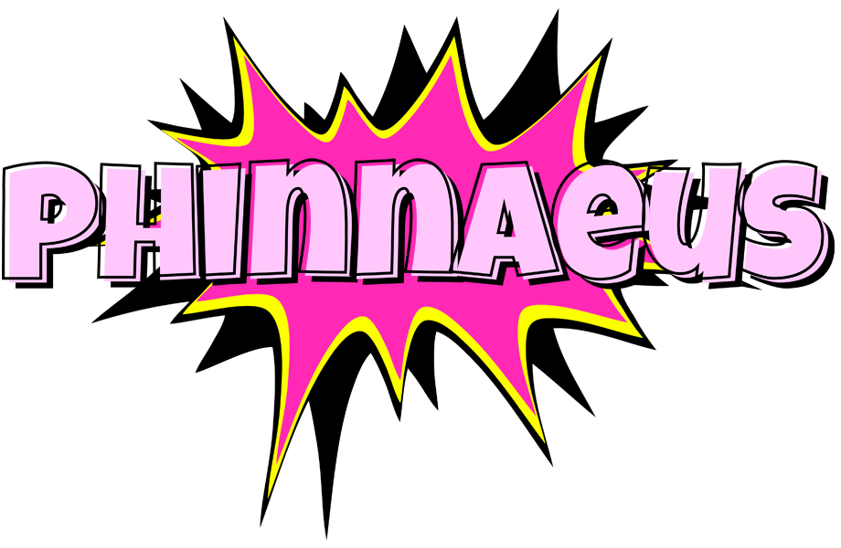 Phinnaeus badabing logo