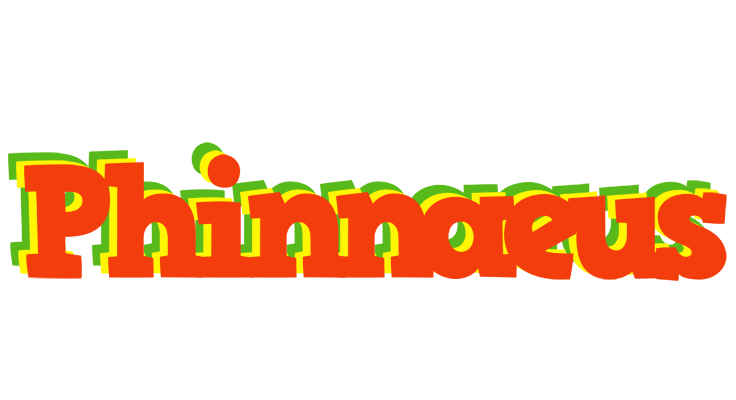 Phinnaeus bbq logo