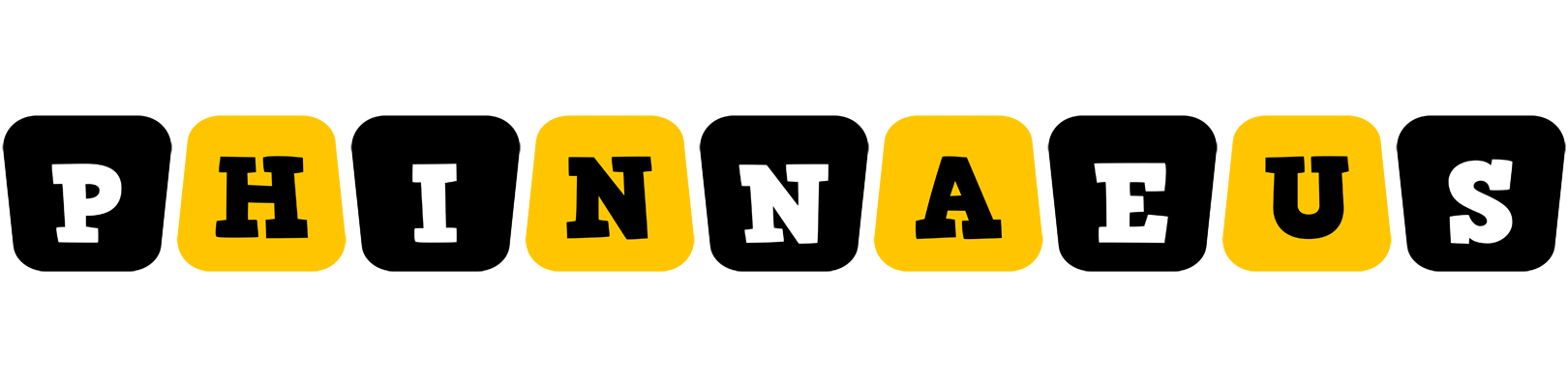 Phinnaeus boots logo