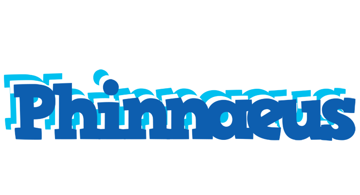 Phinnaeus business logo