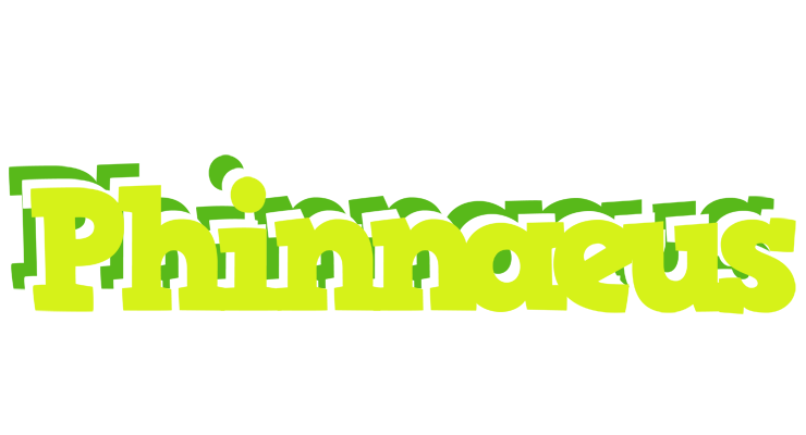 Phinnaeus citrus logo