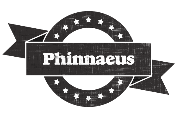 Phinnaeus grunge logo