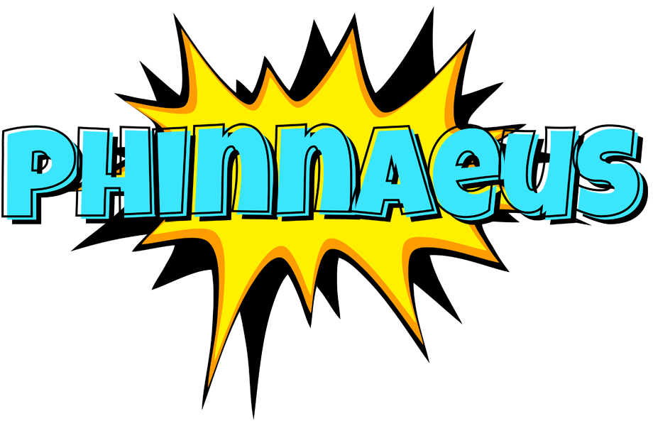 Phinnaeus indycar logo