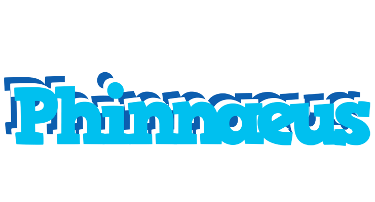 Phinnaeus jacuzzi logo