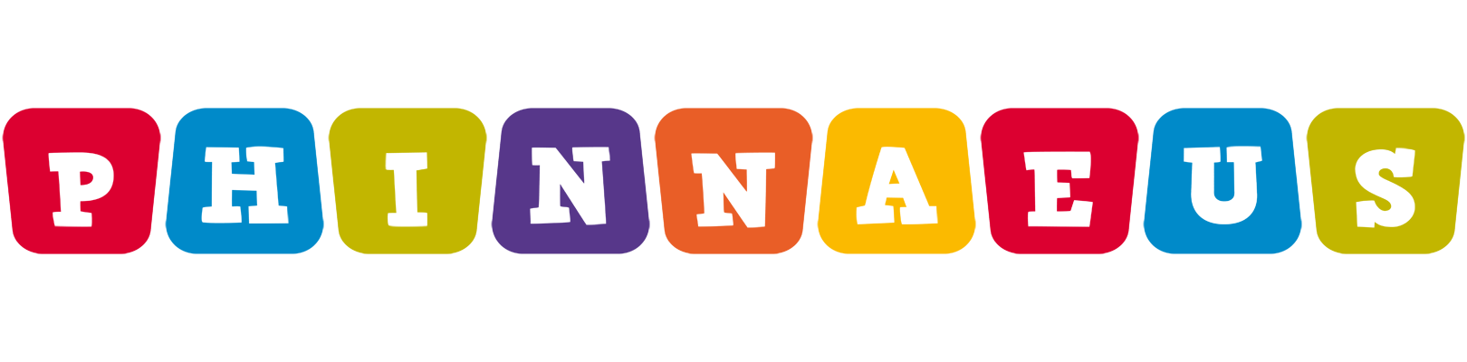 Phinnaeus kiddo logo