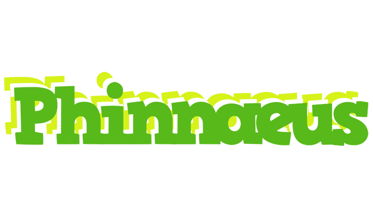 Phinnaeus picnic logo