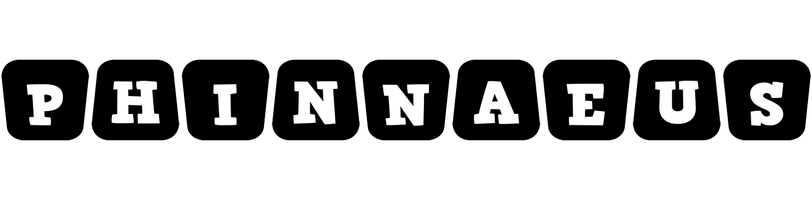 Phinnaeus racing logo